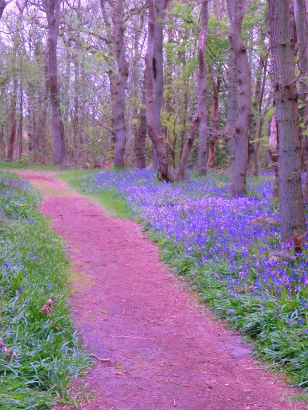 ??????????????????????