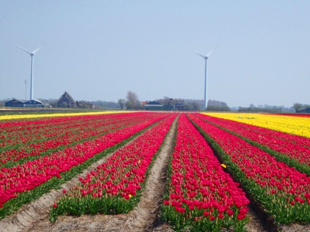 ??????????????????????