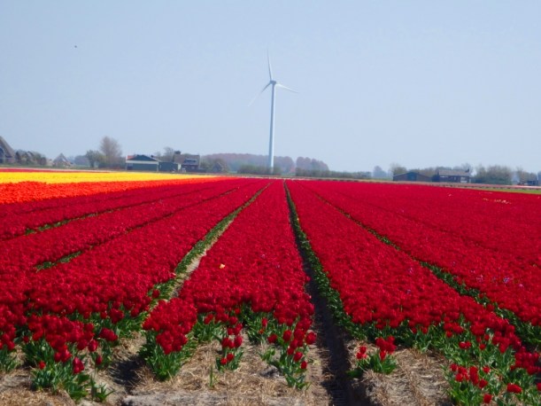 ??????????????????????