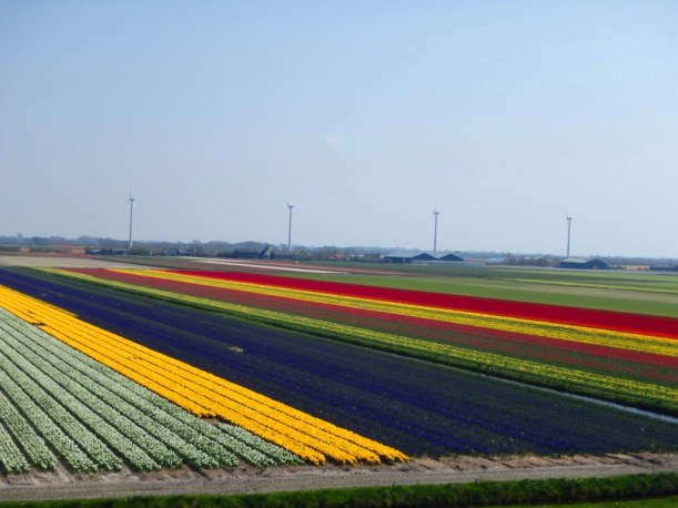 ??????????????????????