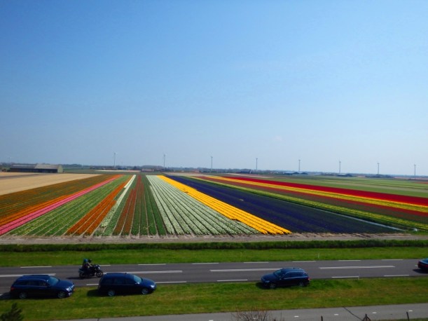 ??????????????????????