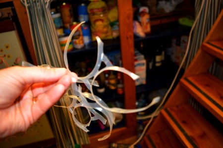 By the by, please remember to always cut the plastic rings (the ones used on cans) – we dispose of our rubbish very carefully. Even if these rings go in a plastic bag then a rubbish bin, we still cut them - just in case . . . . they can be very harmful to wildlife.