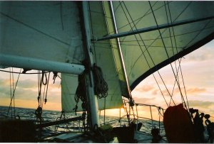 Finalise the test sail detail prior to going... how long, how far, deposit?