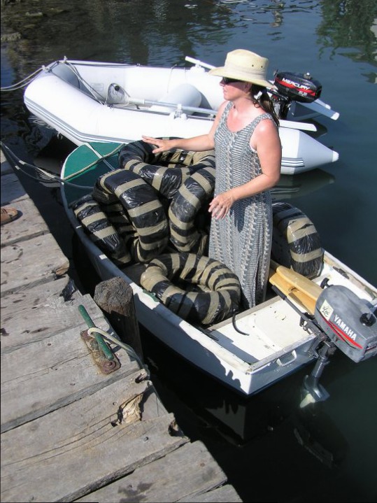 I'm in the dinghy, loading up with rubber tyres to use as fenders on Mariah. I was the smallest, so I got the job of ferrying them to the boat!