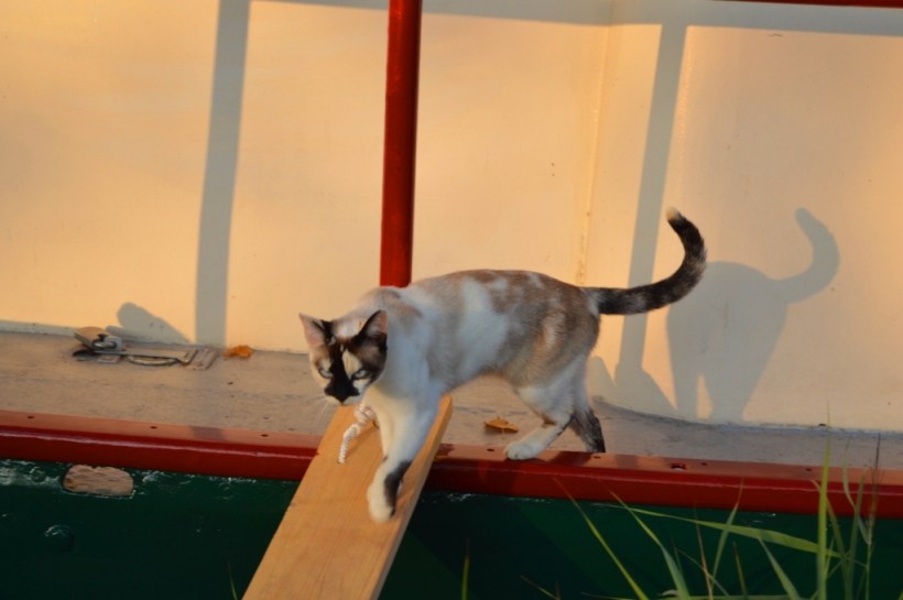 A glimpse of our NEW paintwork...more to come!