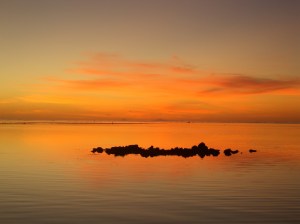 ???????????????????????