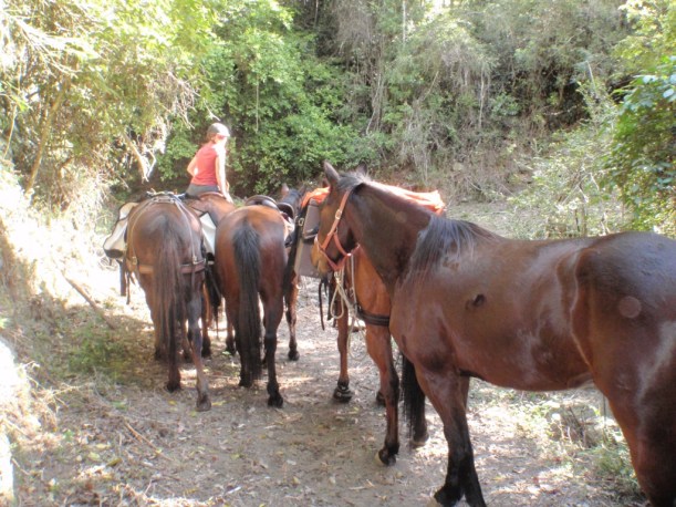 An amazing journey - my wonderful family...