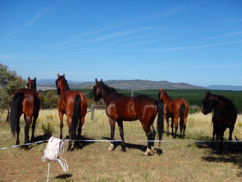 ??????????????????????