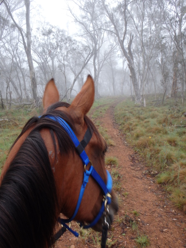 ???????????????????????????????