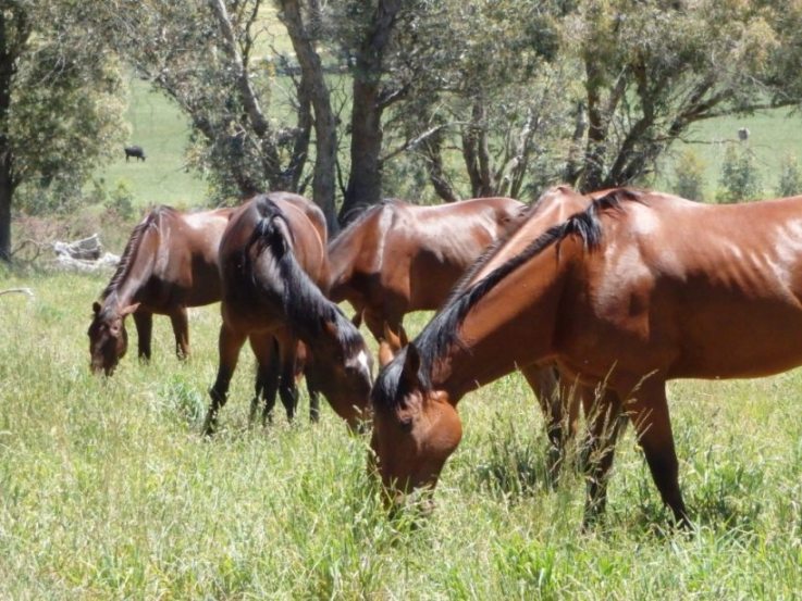 Happy, healthy boys!