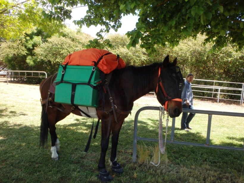 First set up with hard panniers