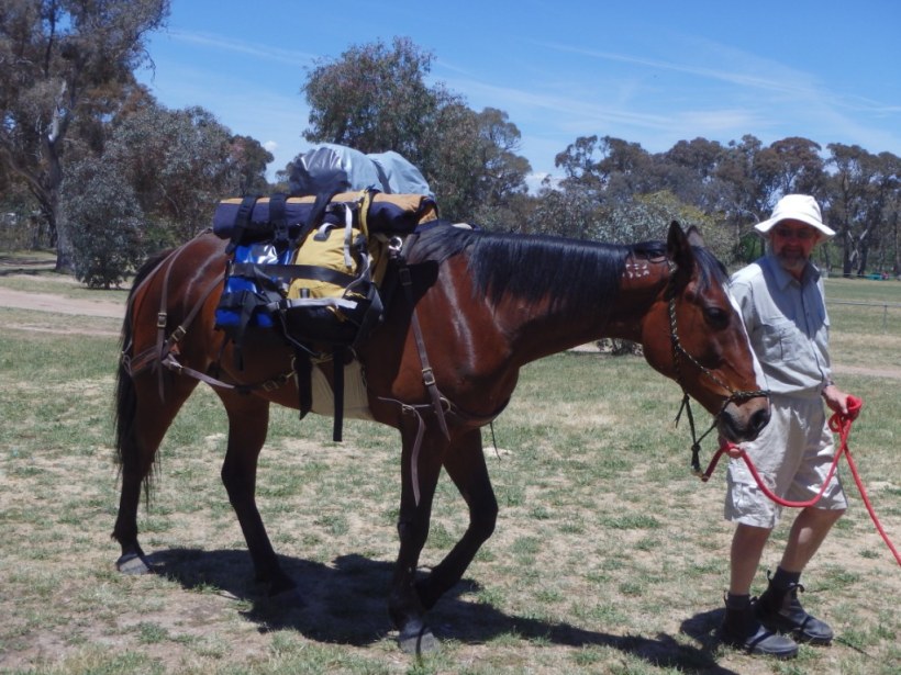 Our gear x 3 horses (plus saddle bags on our riding horses)