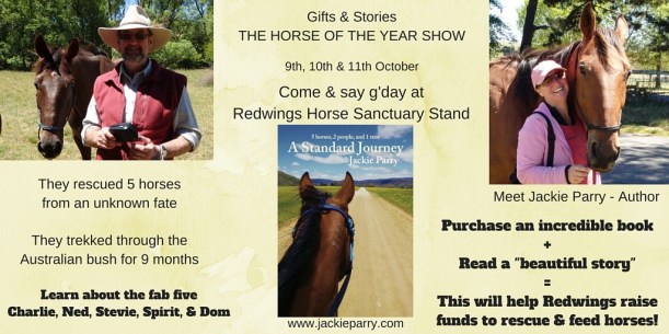 Redwings Horse Charity (4)