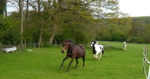  Carrie leading the way, getting better