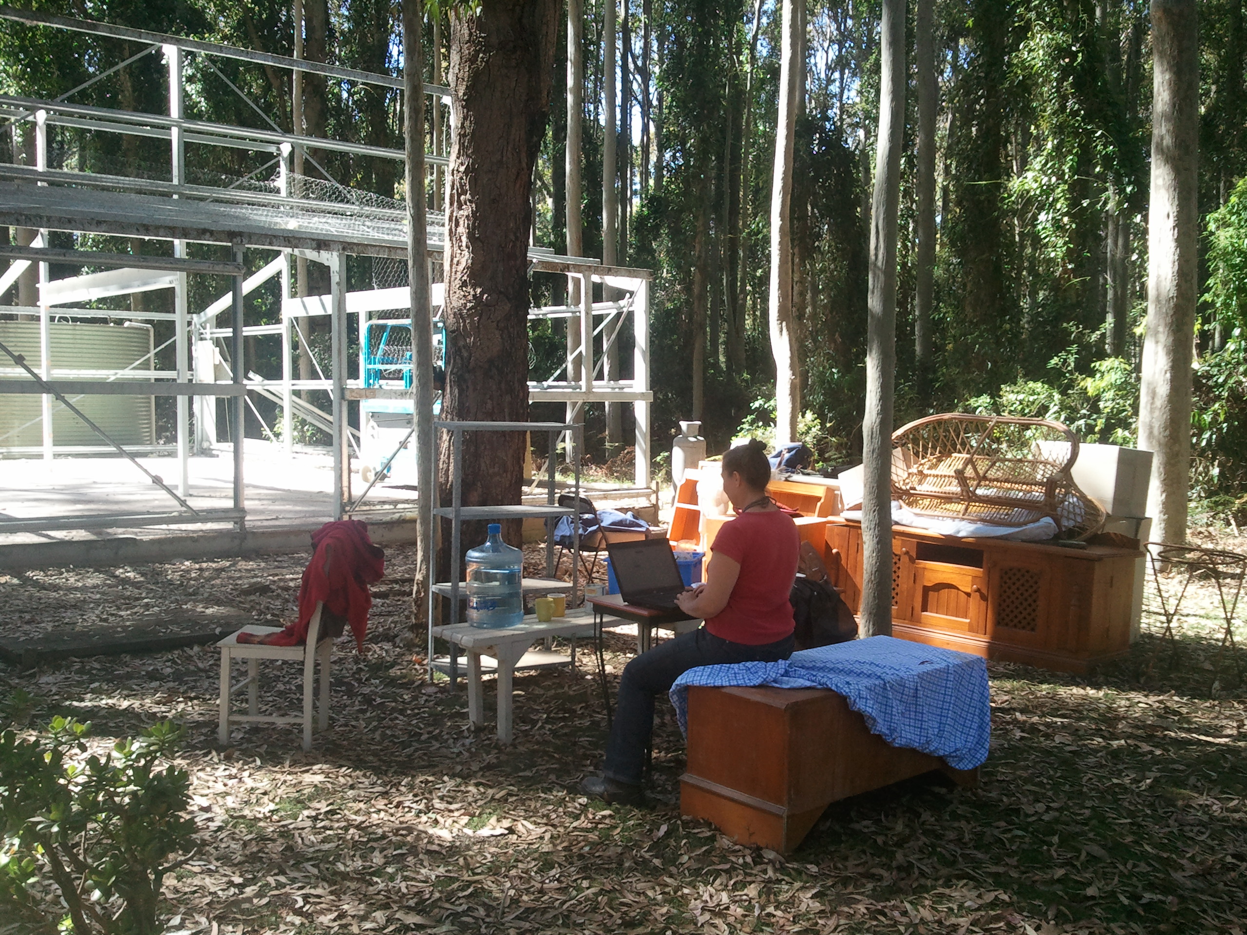 In NSW, Australia - we are dismantling an American Barn - so part of the way through the process.... I tap away!
