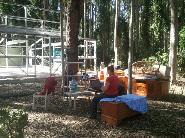 In NSW, Australia - we are dismantling an American Barn - so part of the way through the process.... I tap away!