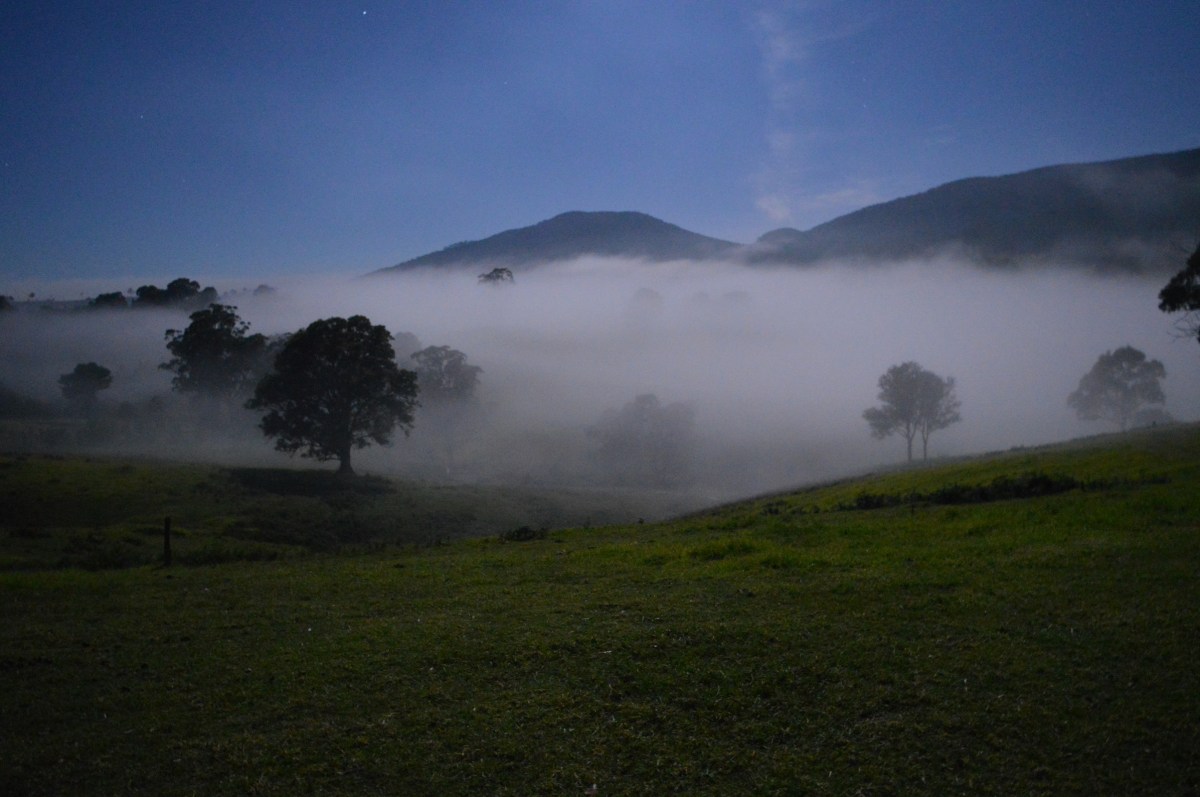Mist rolling along our land under a full moon!